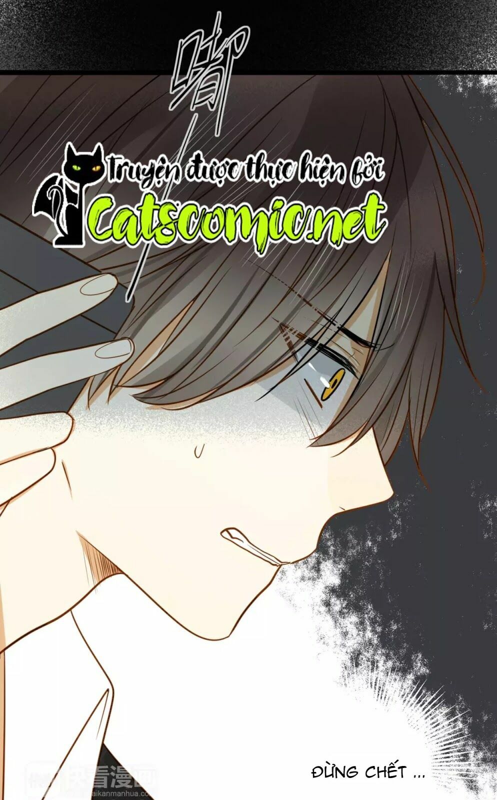 Điều giáo quan hệ: Chapter 21