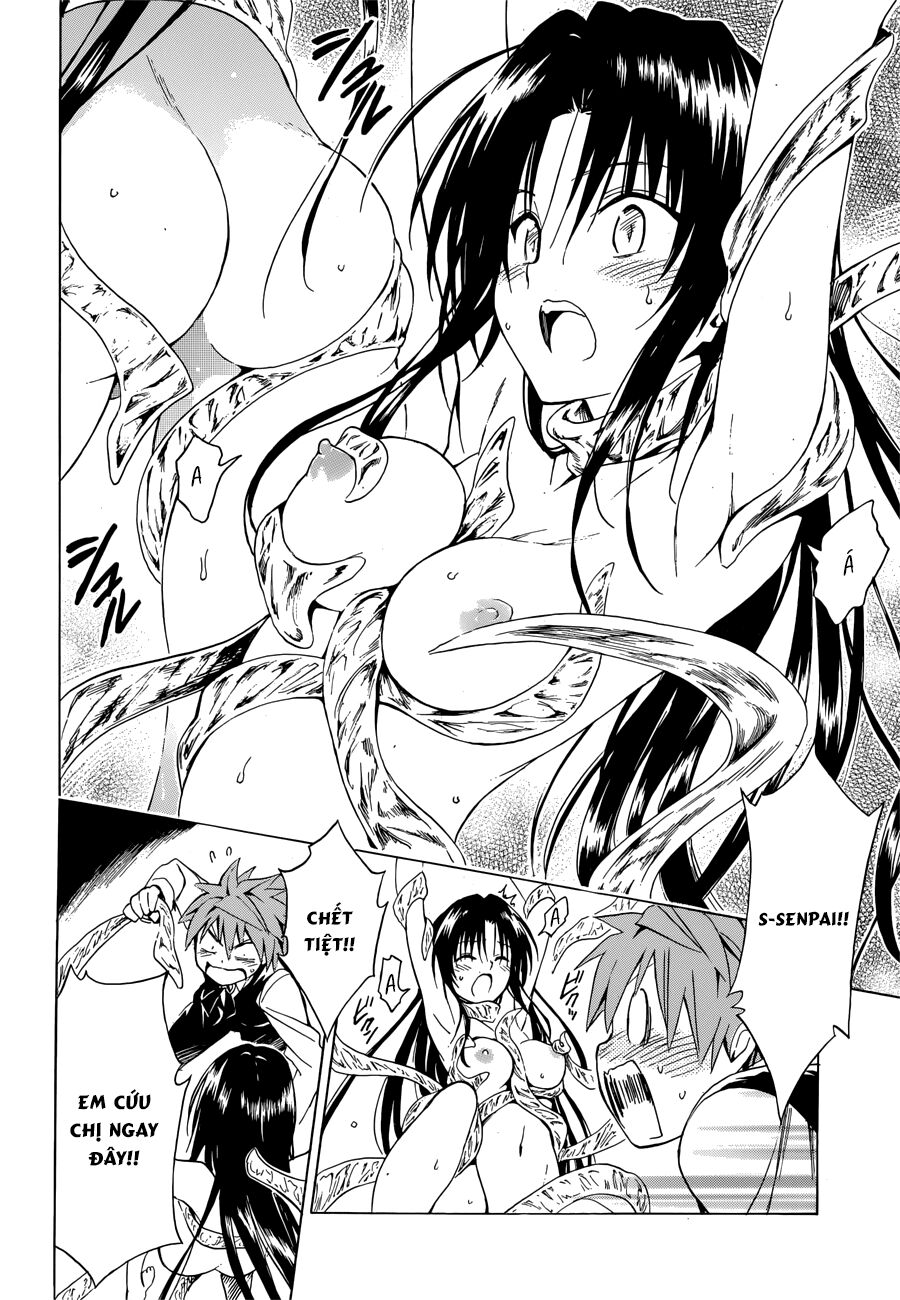 Bọn tớ thích cậu! Rito 2: Chapter 33