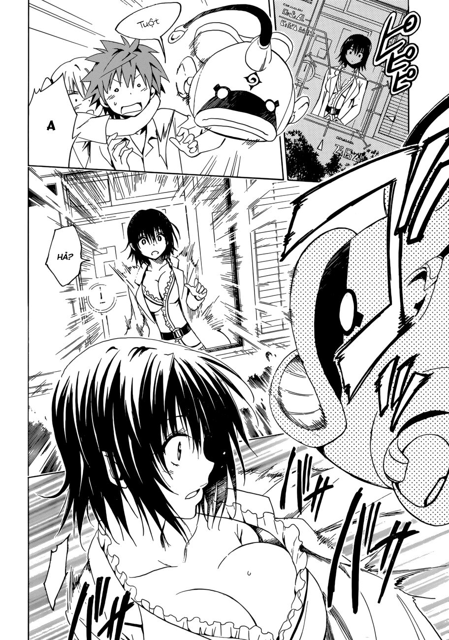 Bọn tớ thích cậu! Rito 2: Chapter 36