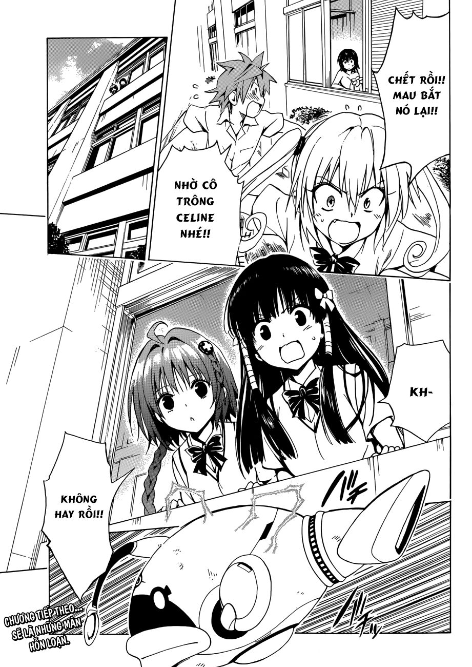Bọn tớ thích cậu! Rito 2: Chapter 36