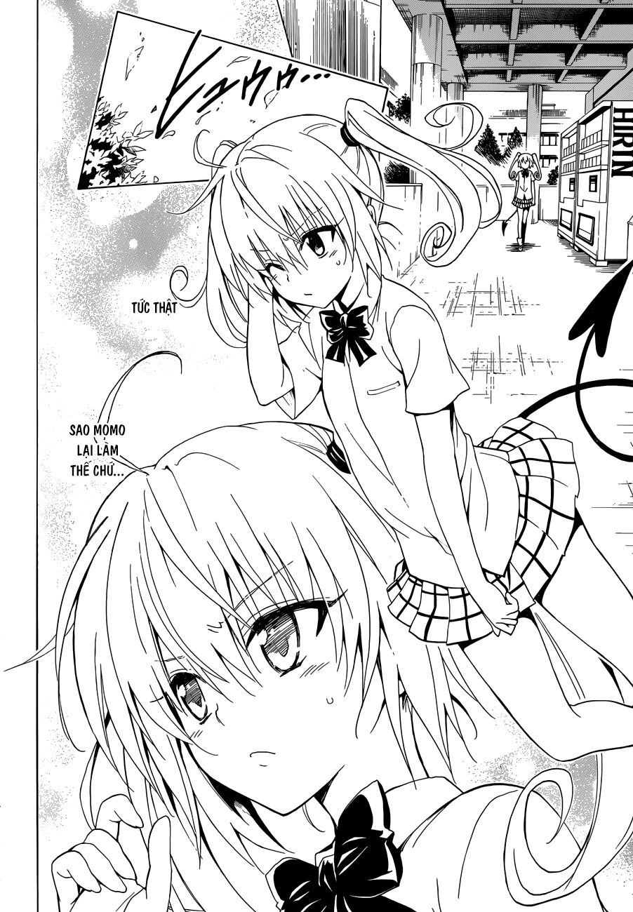 Bọn tớ thích cậu! Rito 2: Chapter 36