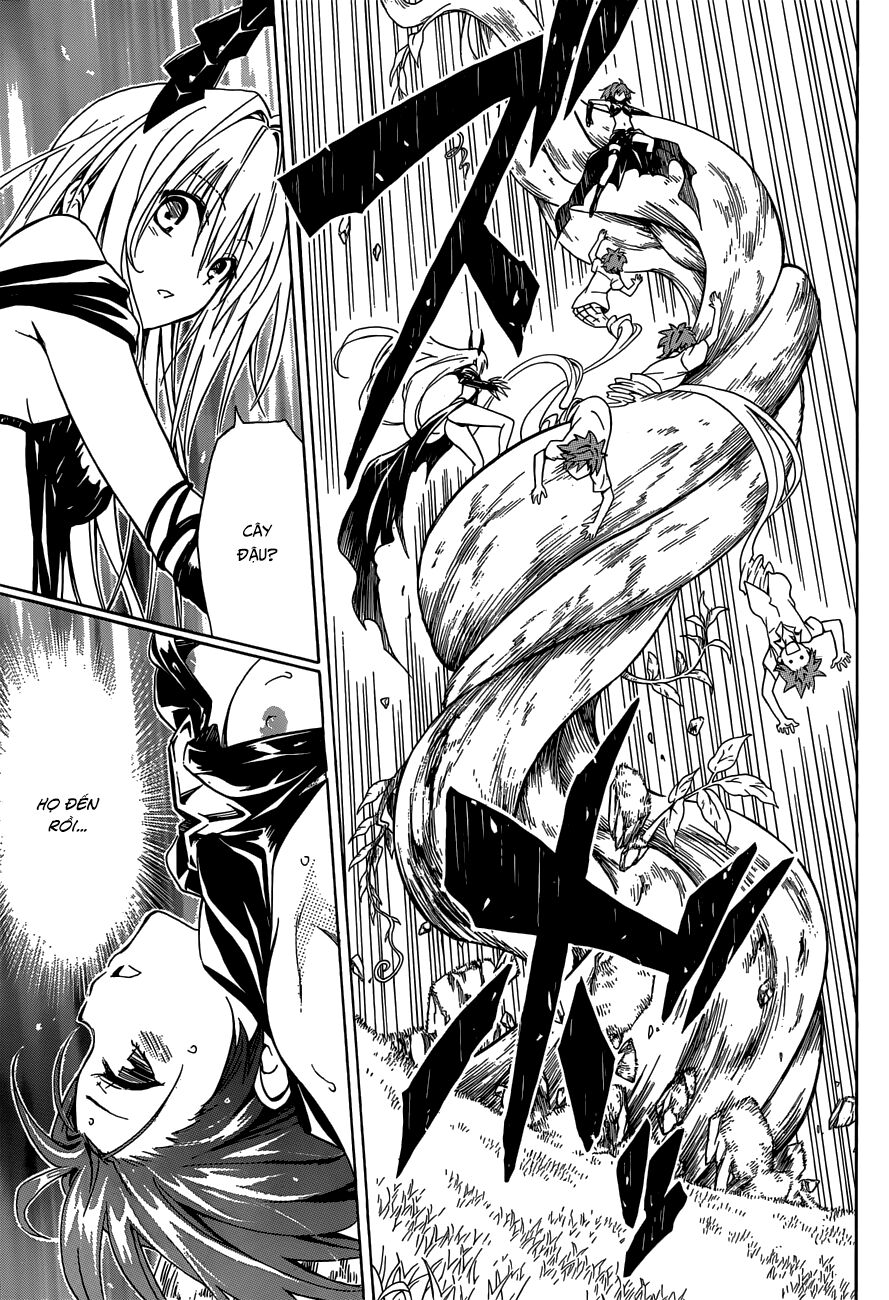 Bọn tớ thích cậu! Rito 2: Chapter 45