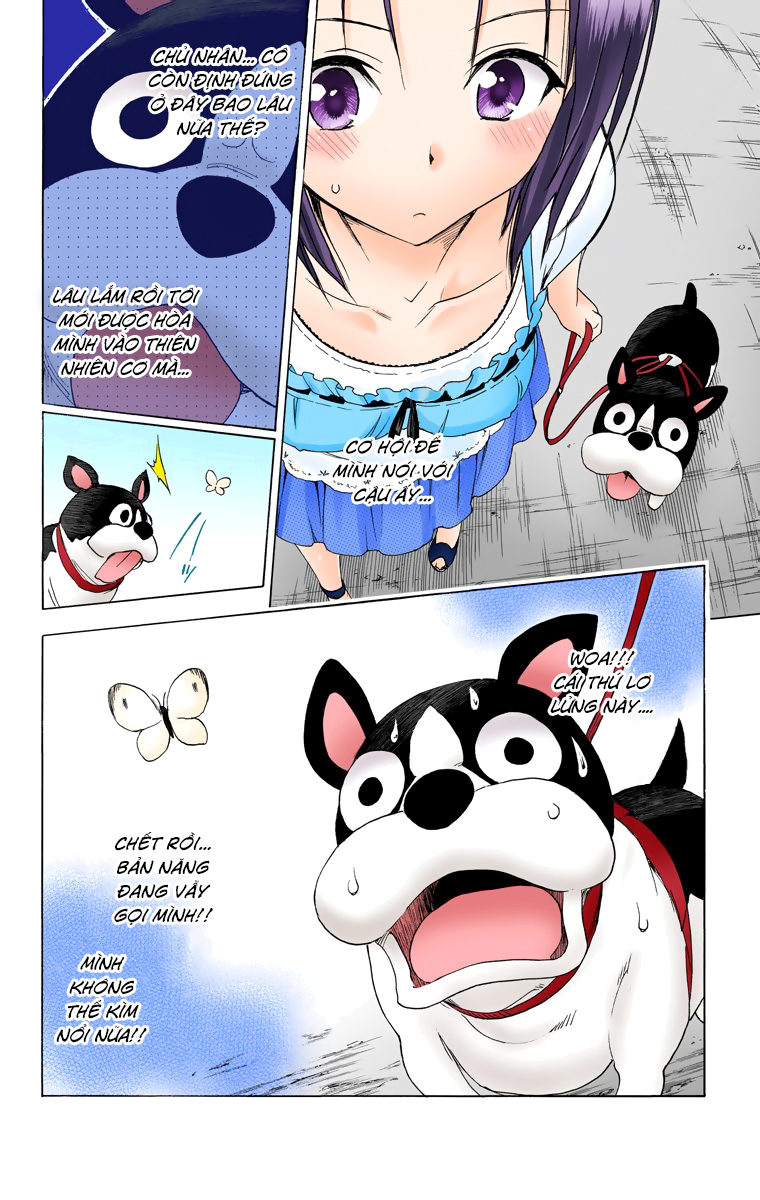 Bọn tớ thích cậu! Rito 2: Chapter 52