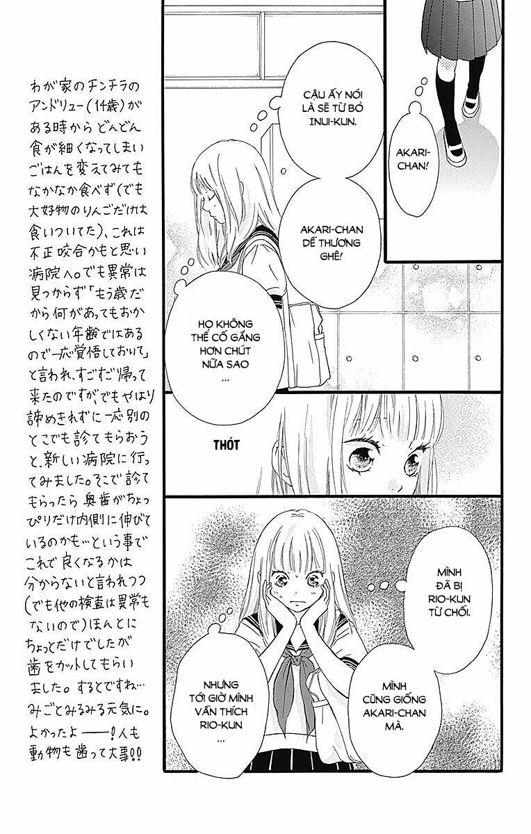Trò chơi cút bắt: Chapter 22