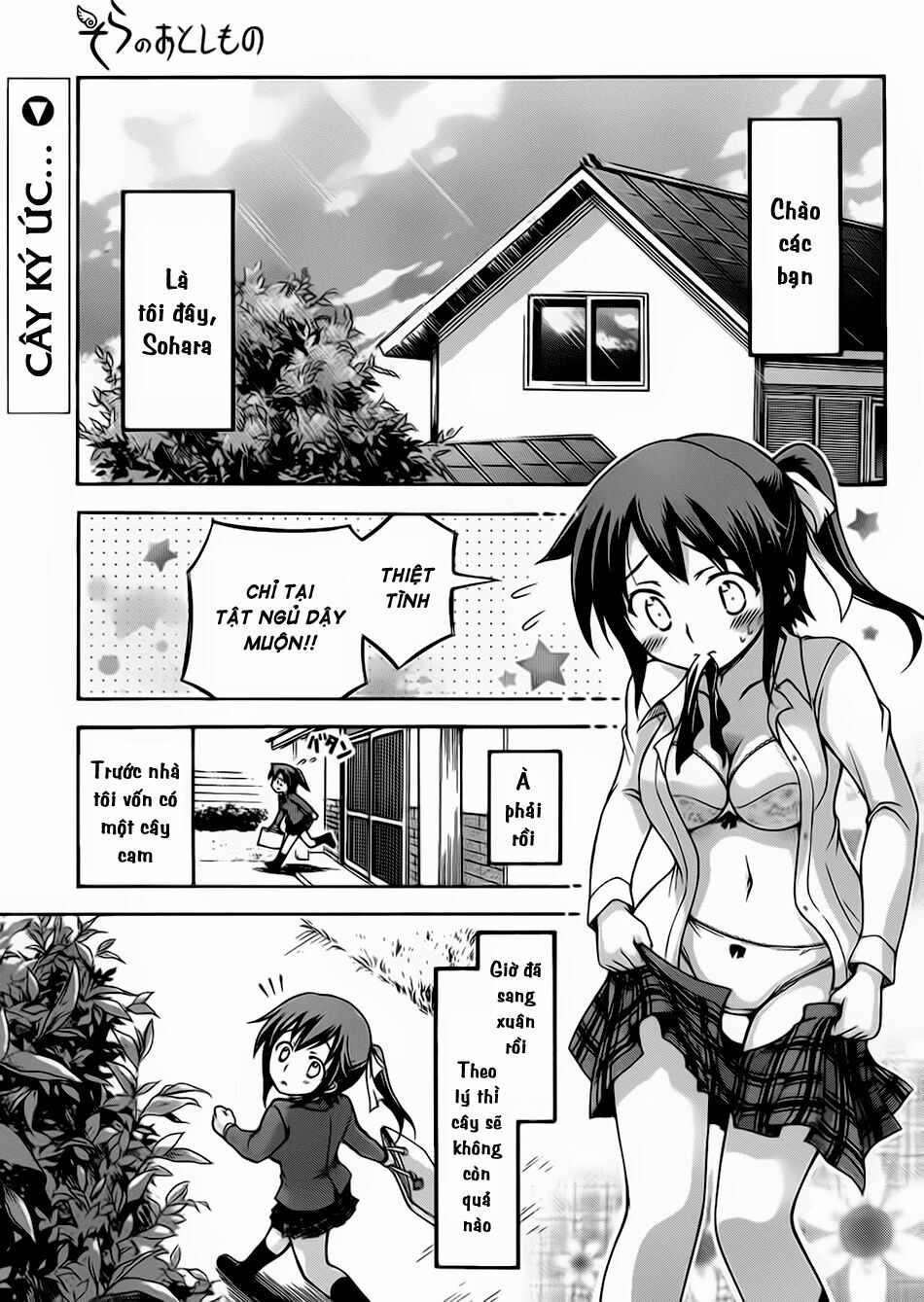 Vật Thất Lạc Của Bầu Trời: Chapter 61: - Thủ đao