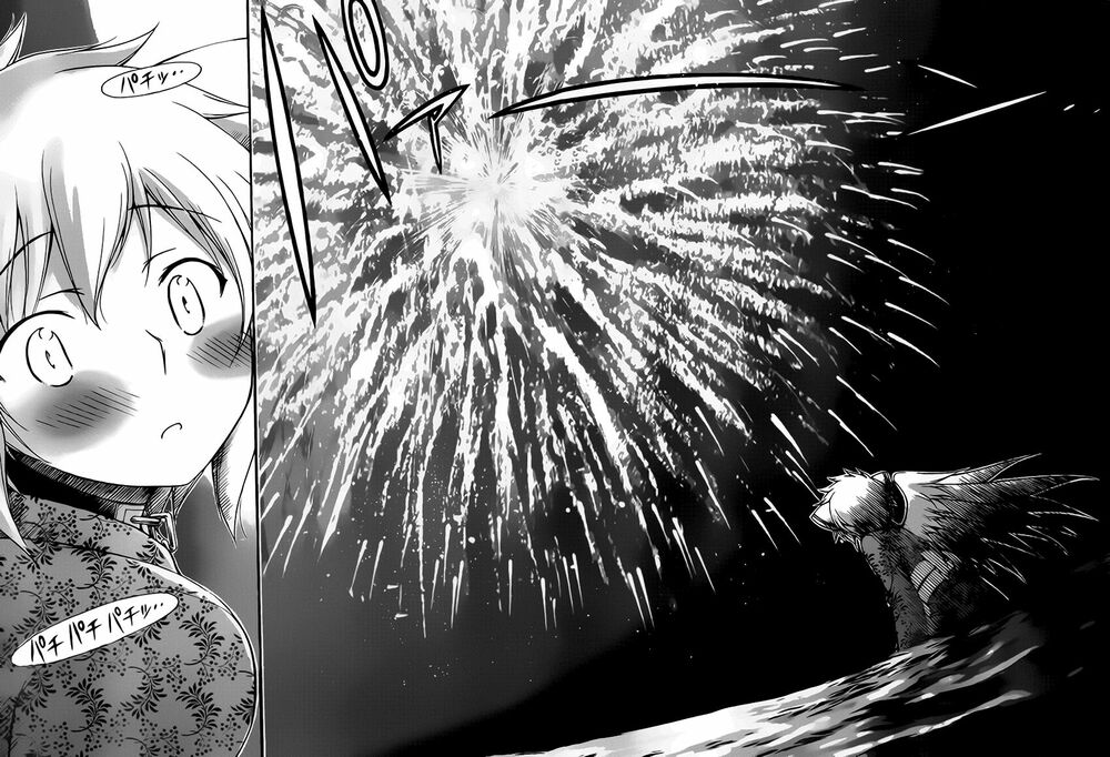 Vật Thất Lạc Của Bầu Trời: Chapter 65: - Hoa lửa