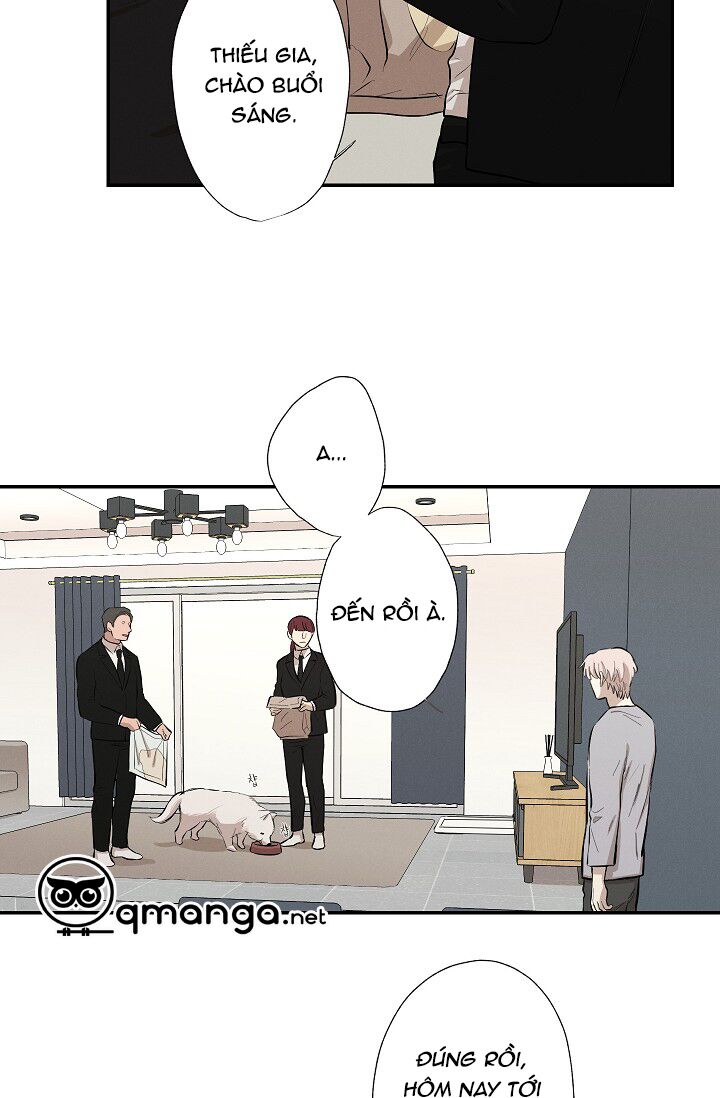 Trốn Tìm: Chapter 19