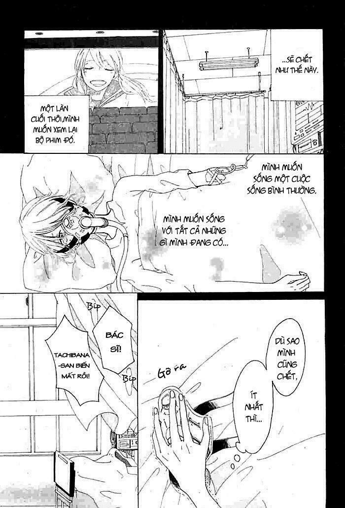 Tổng hợp One Shot.: Chapter 260