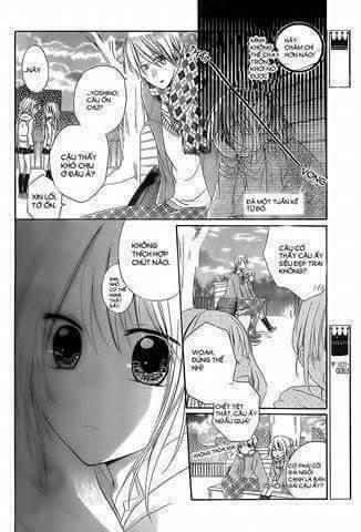Tổng hợp One Shot.: Chapter 317
