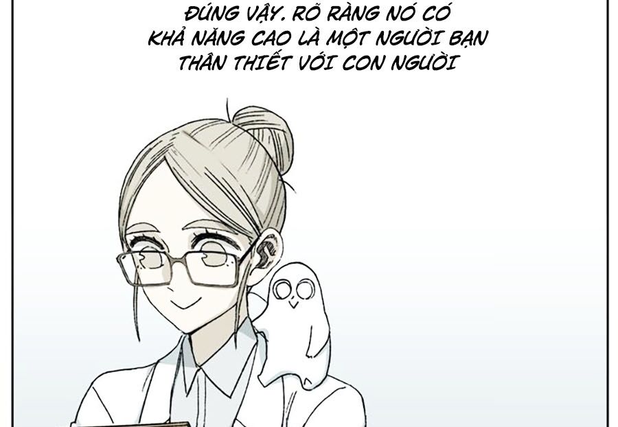 Đại Chiến Muỗi Biến Dị: Chapter 40