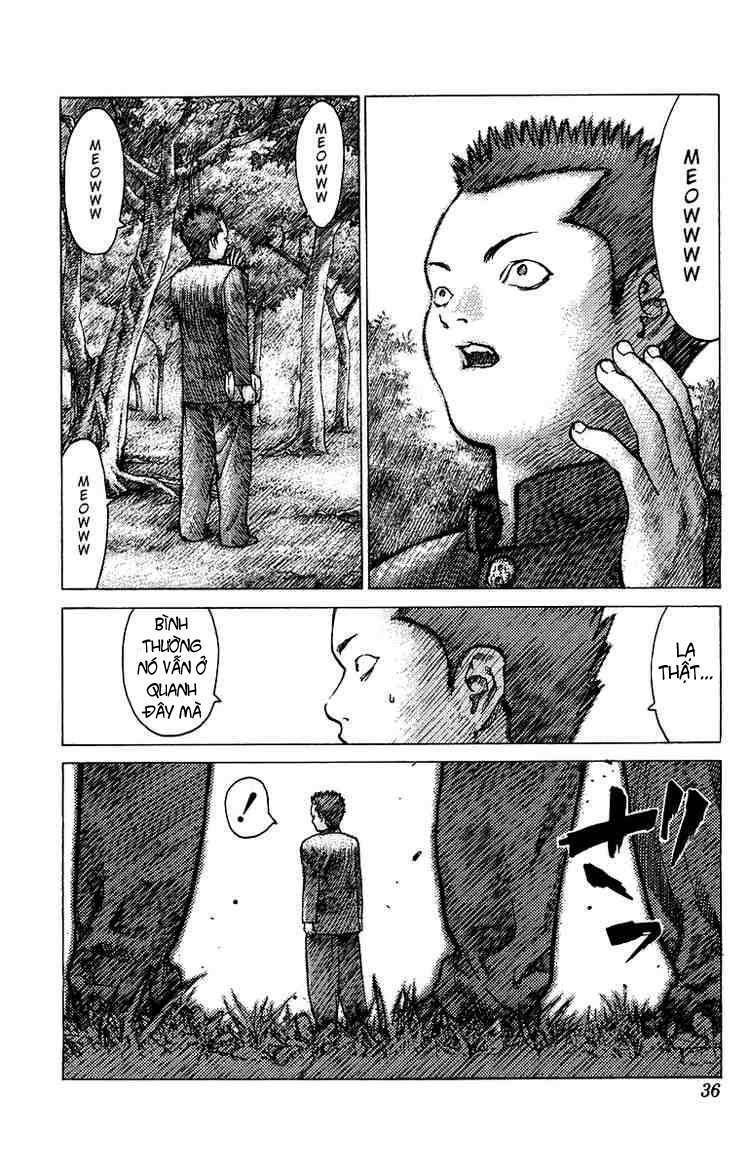 Angel Densetsu: Chapter 77: Days of Our Youth Part 002