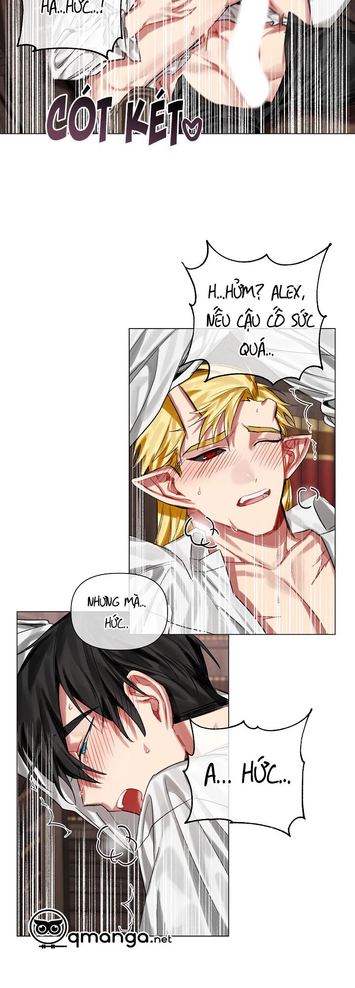 Bán long Kỵ sĩ: Chapter 12