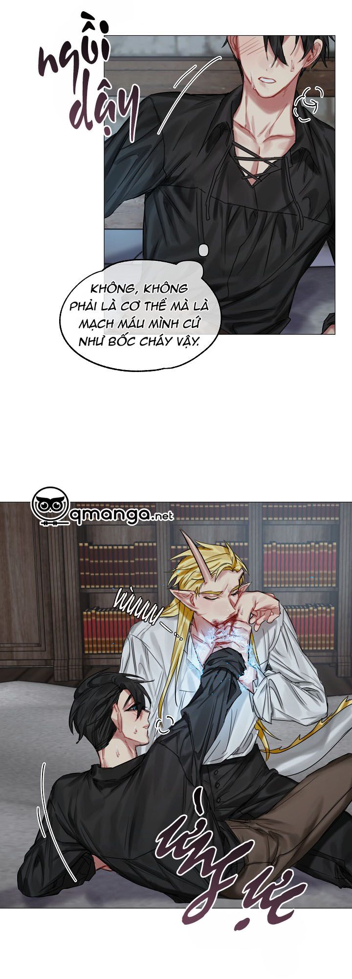 Bán long Kỵ sĩ: Chapter 19
