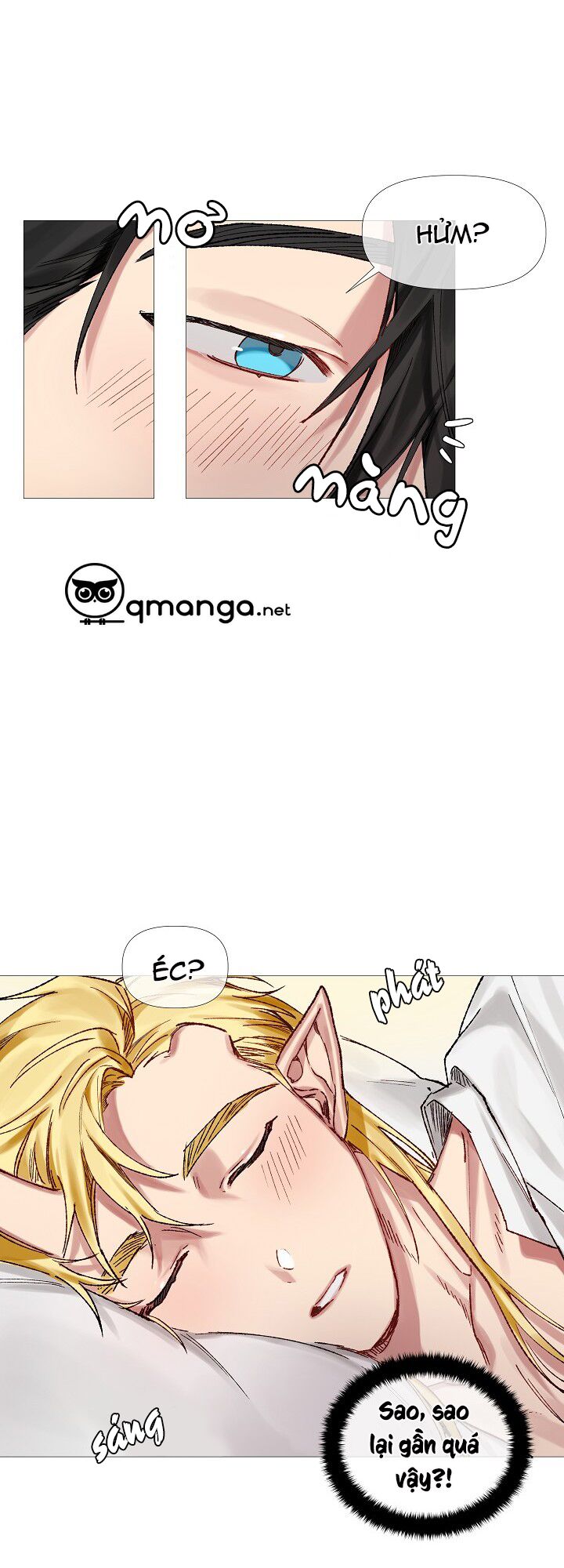 Bán long Kỵ sĩ: Chapter 5