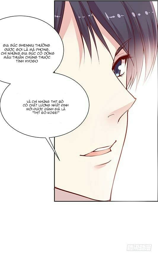 JM Đặc Thù Khách Nhân Phục Vụ Bộ: Chapter 62