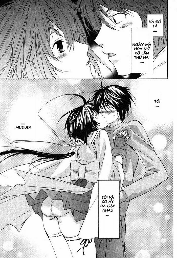 Sekirei: Chapter 4