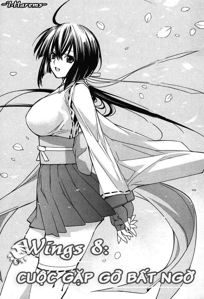 Sekirei: Chapter 8