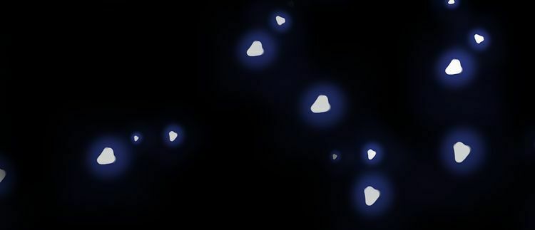 Vũ Tẫn: Chapter 2