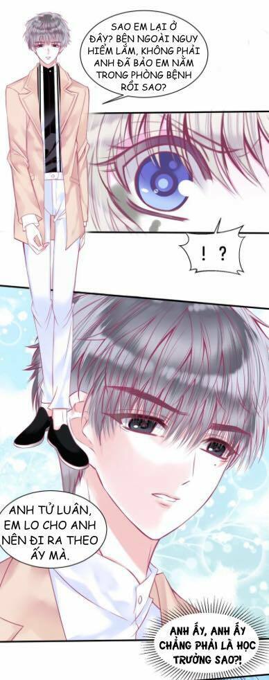 Vũ Tẫn: Chapter 5
