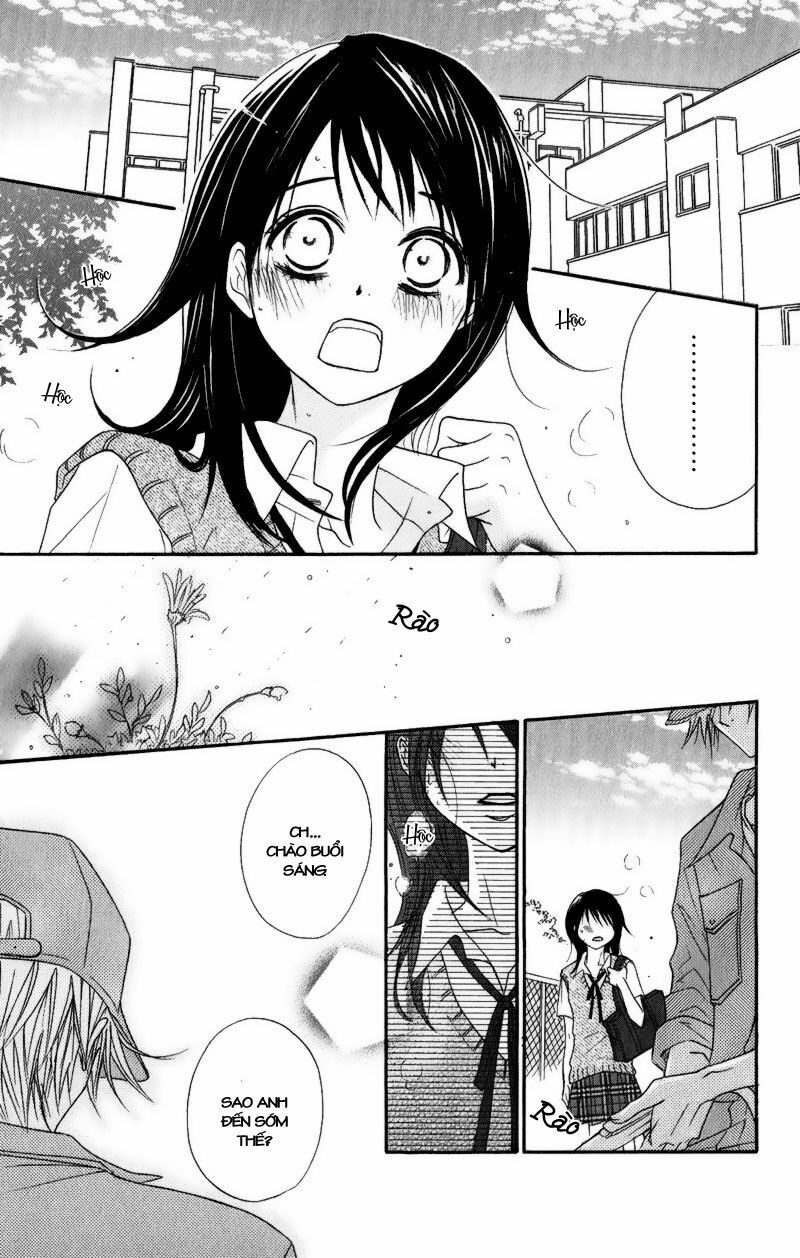 Điện kích Daisy: Chapter 15