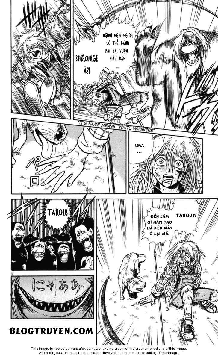 Ushio and Tora: Chapter 235