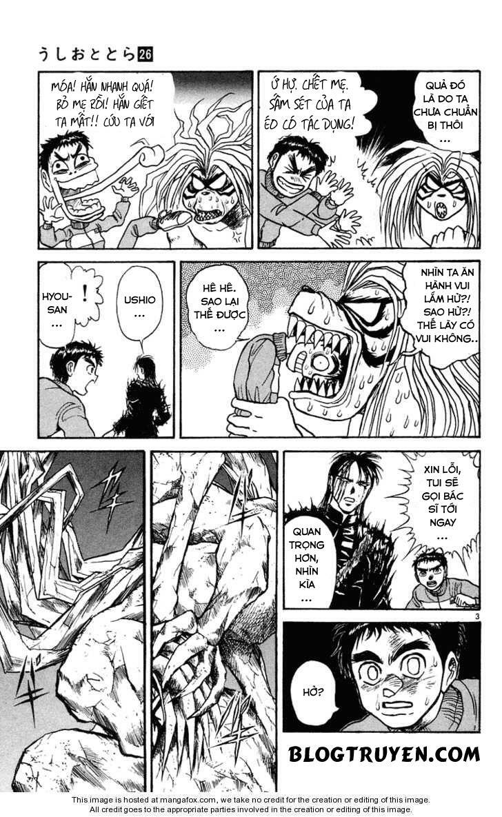 Ushio and Tora: Chapter 246