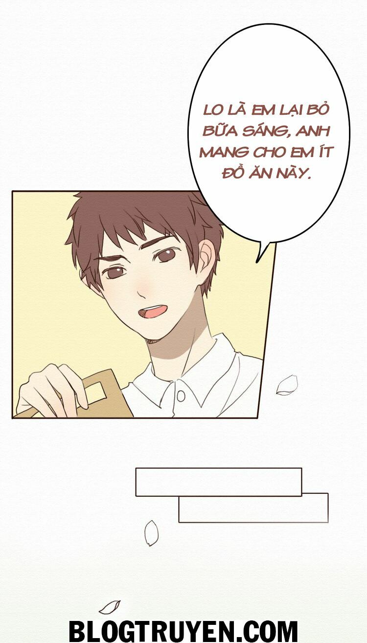 Tình yêu không nói dối: Chapter 8