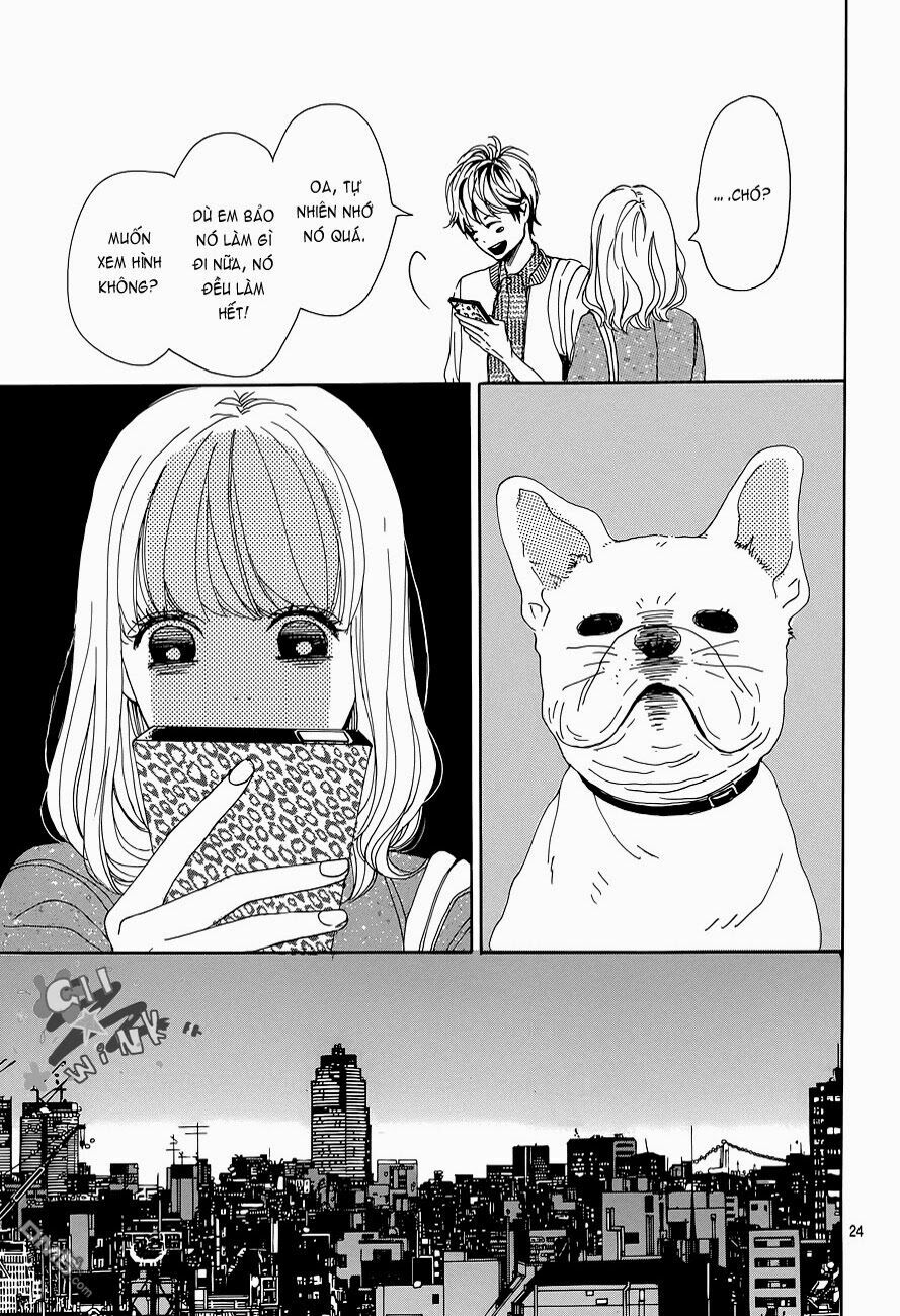 Dame na Watashi ni Koishite Kudasai: Chapter 1