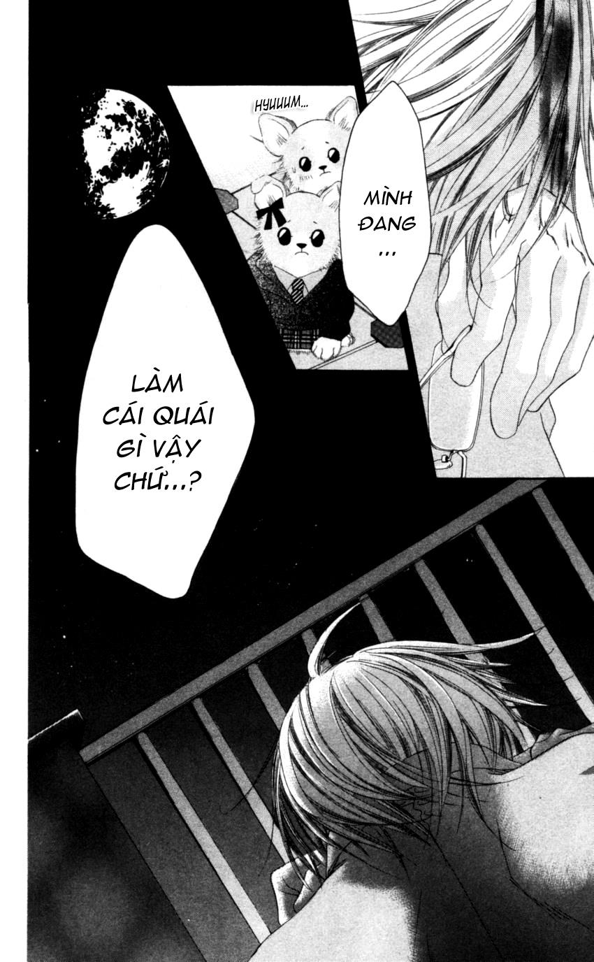 I love my little sister: Chapter 38