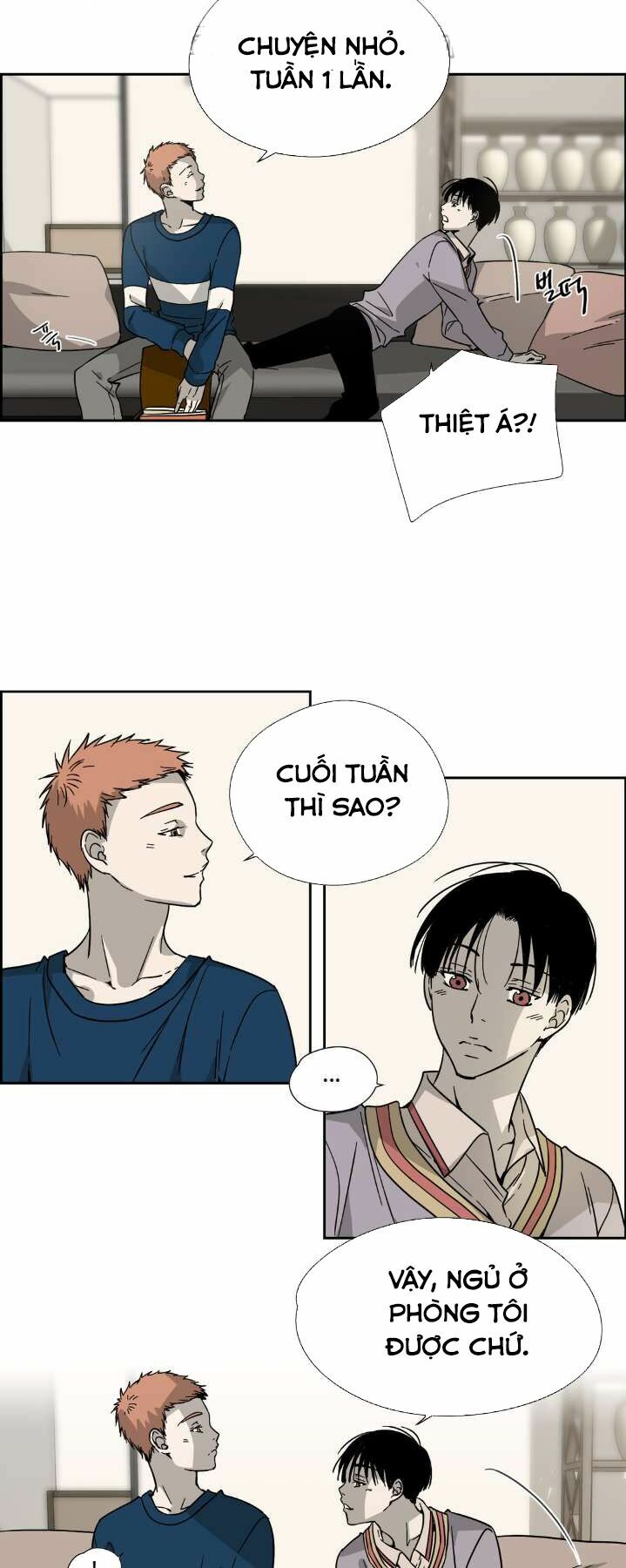 Anh Tôi, Thầy Cậu: Chapter 8