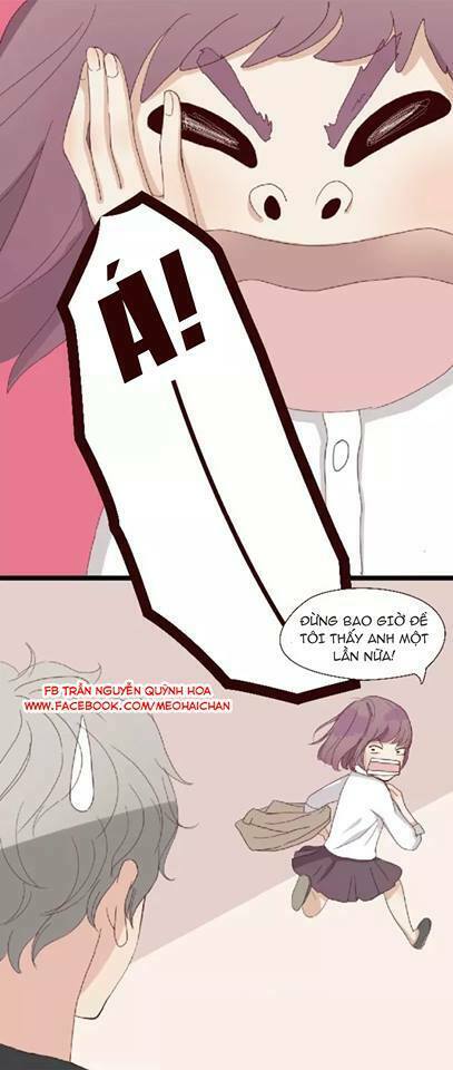 Người Yêu 0 Độ: Chapter 1: - 3