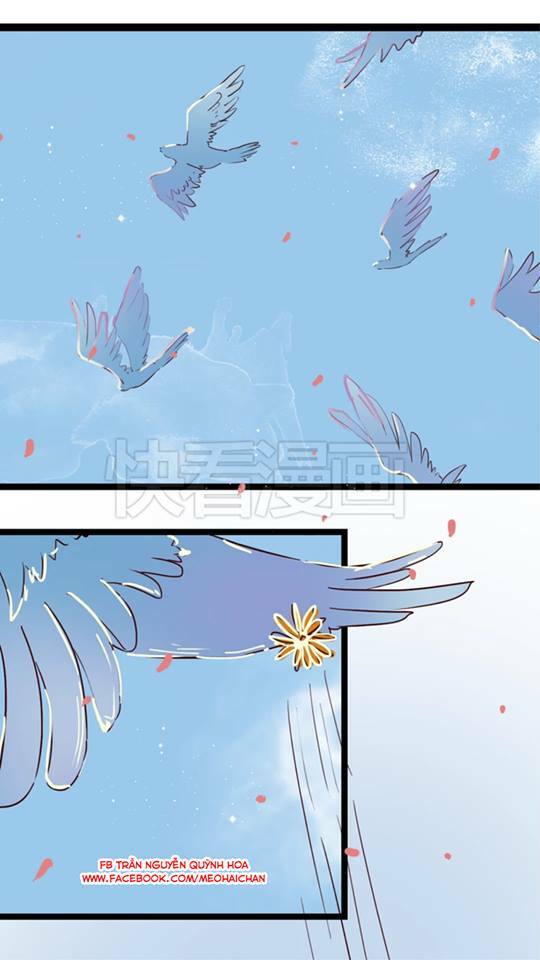 Người Yêu 0 Độ: Chapter 5
