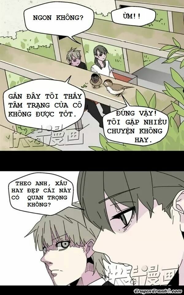 Phần Mềm Thẩm Mỹ: Chapter 5