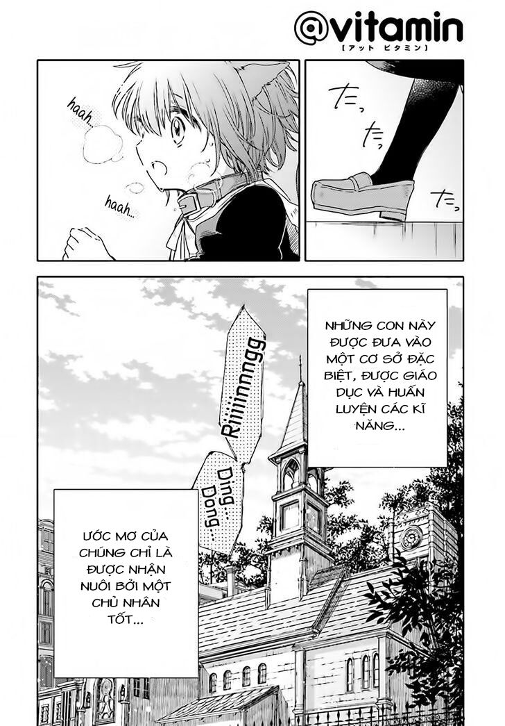 Goshujin-sama to Kemonomimi no Shoujo Meru: Chapter 3: Chỉ còn một mình