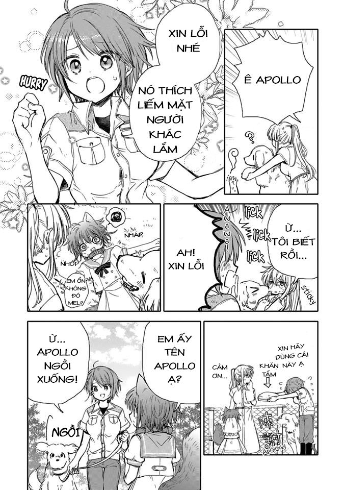 Goshujin-sama to Kemonomimi no Shoujo Meru: Chapter 7