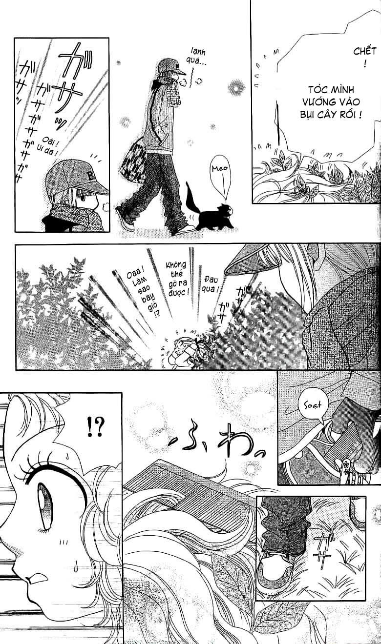 Dự Án Kéo Vàng: Chapter 16