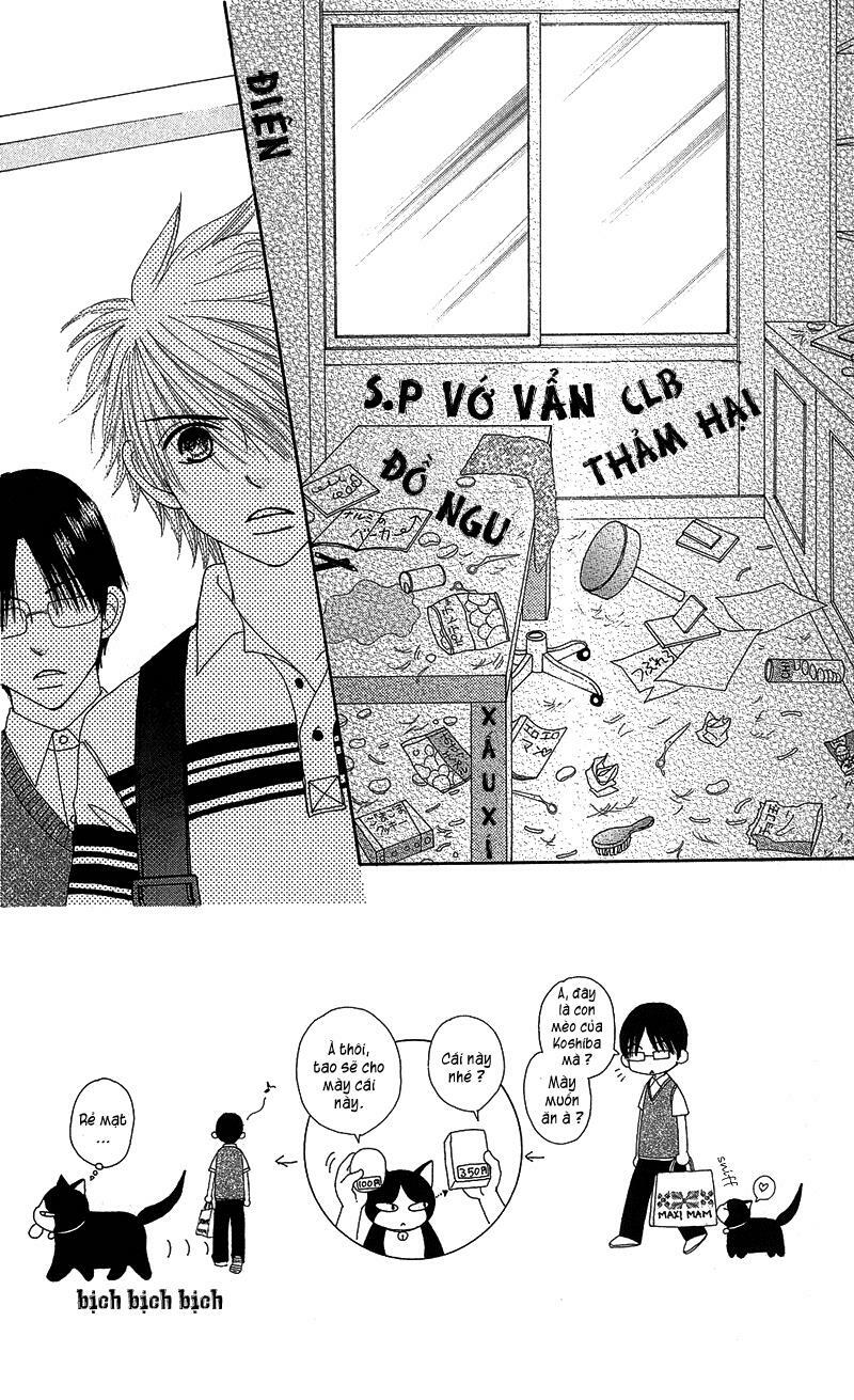 Dự Án Kéo Vàng: Chapter 38
