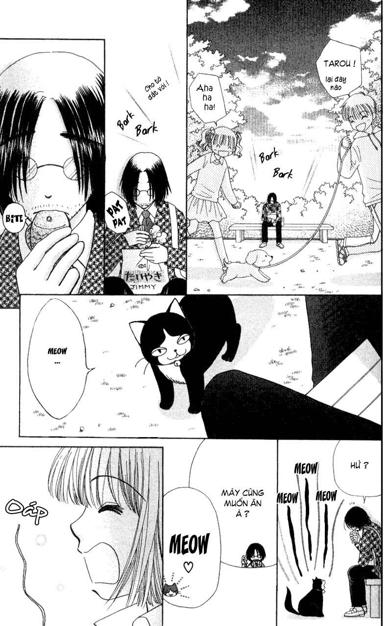 Dự Án Kéo Vàng: Chapter 7