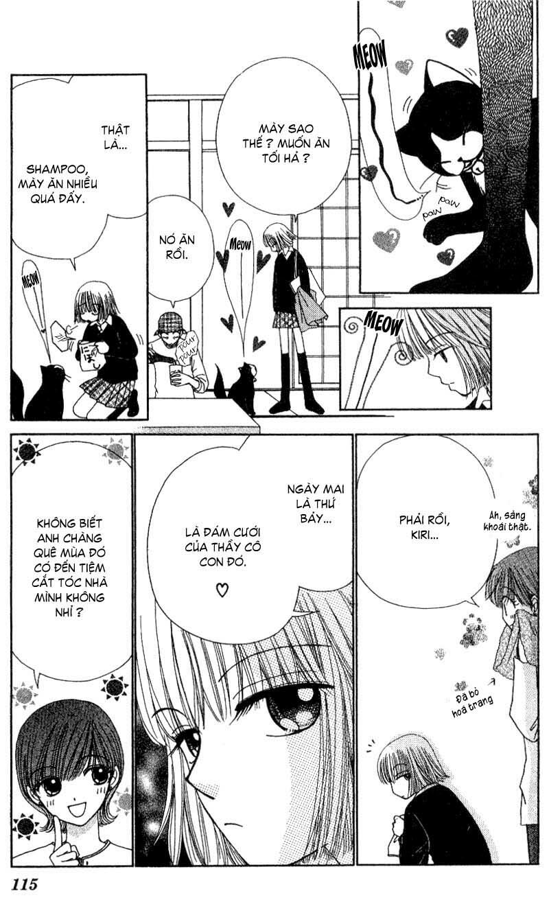 Dự Án Kéo Vàng: Chapter 7