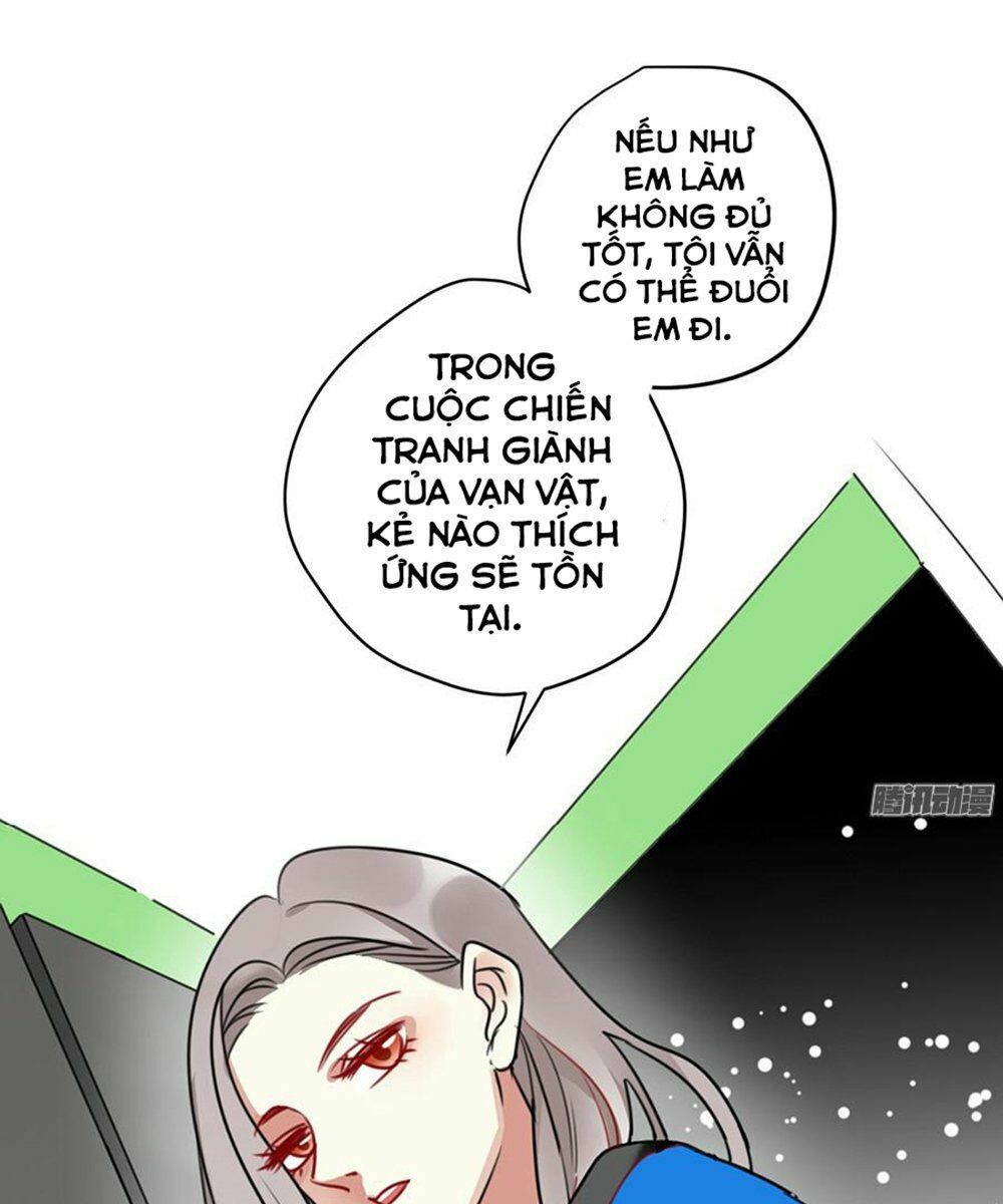 Quý tiết Của An Quyển: Chapter 3