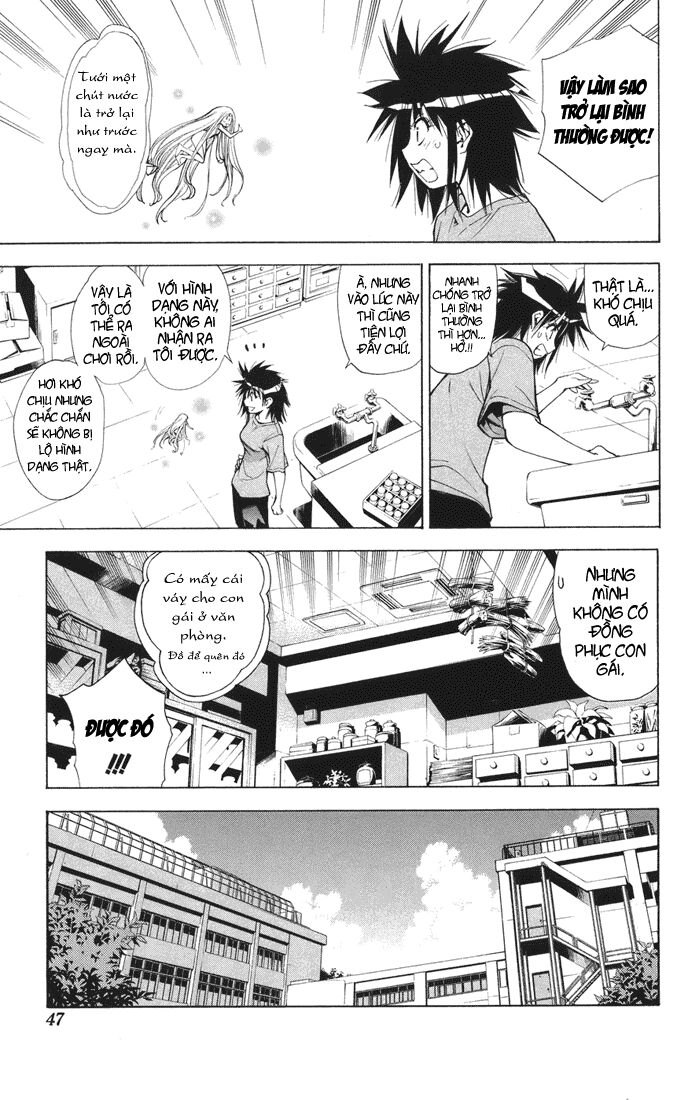 MxO: Chapter 60