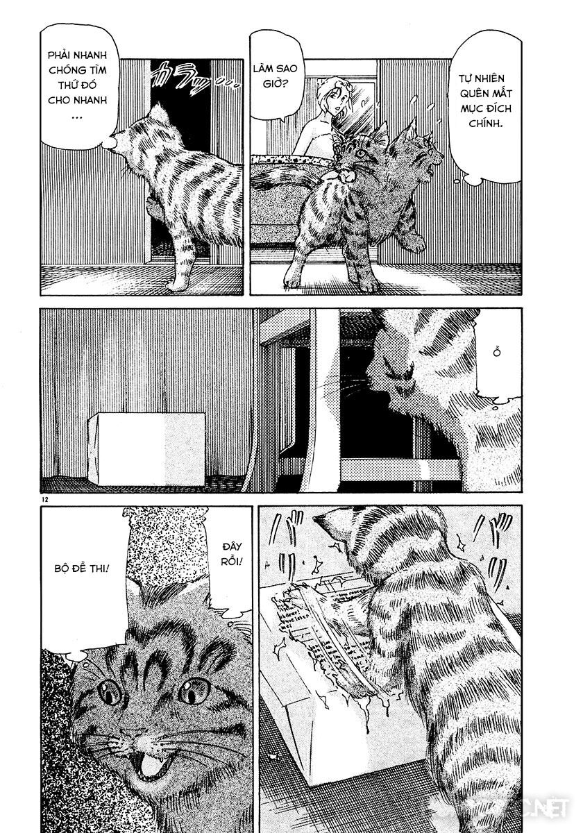 Dangerous female teacher: Chapter 26