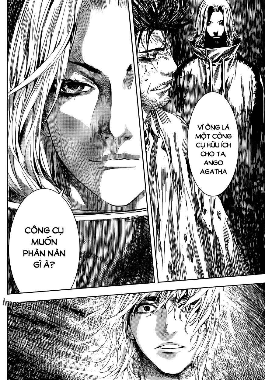 Area D: Chapter 95
