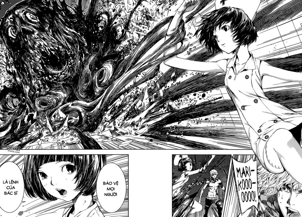 Area D: Chapter 95