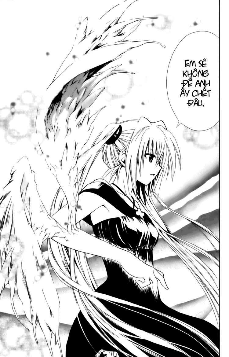 Sát Thủ Mèo Đen: Chapter 100