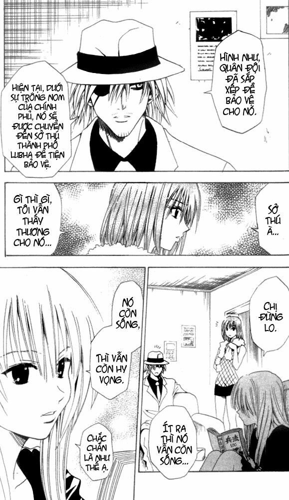 Sát Thủ Mèo Đen: Chapter 38