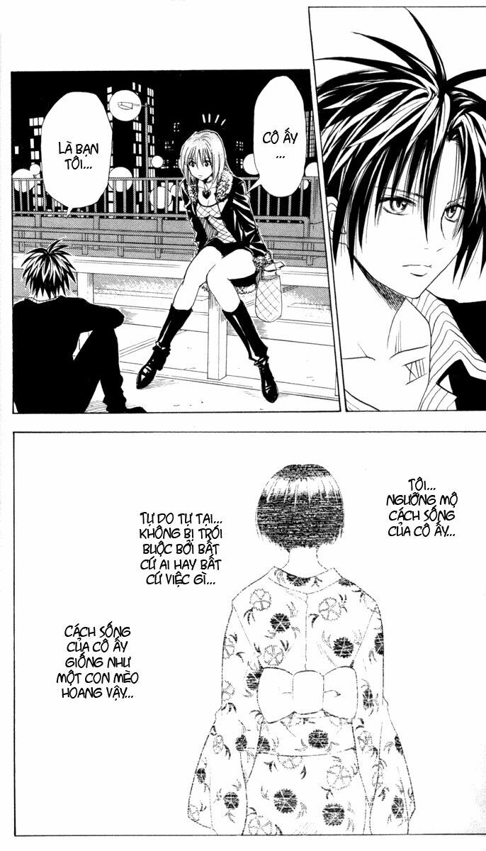Sát Thủ Mèo Đen: Chapter 39