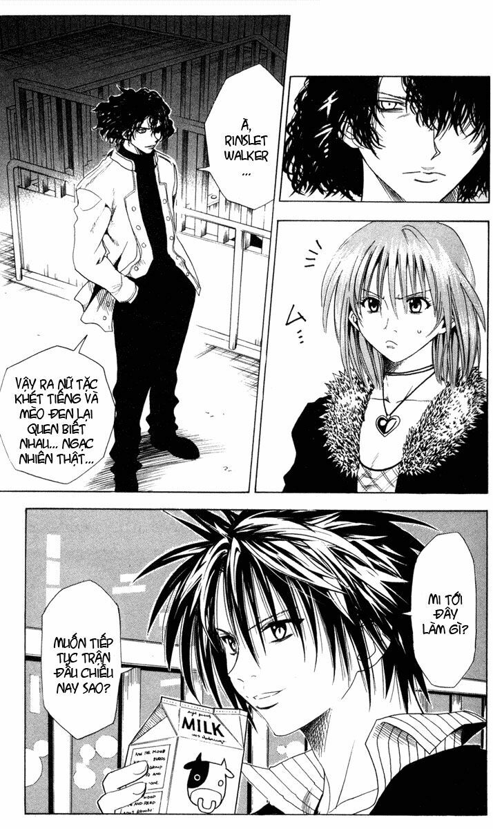 Sát Thủ Mèo Đen: Chapter 39