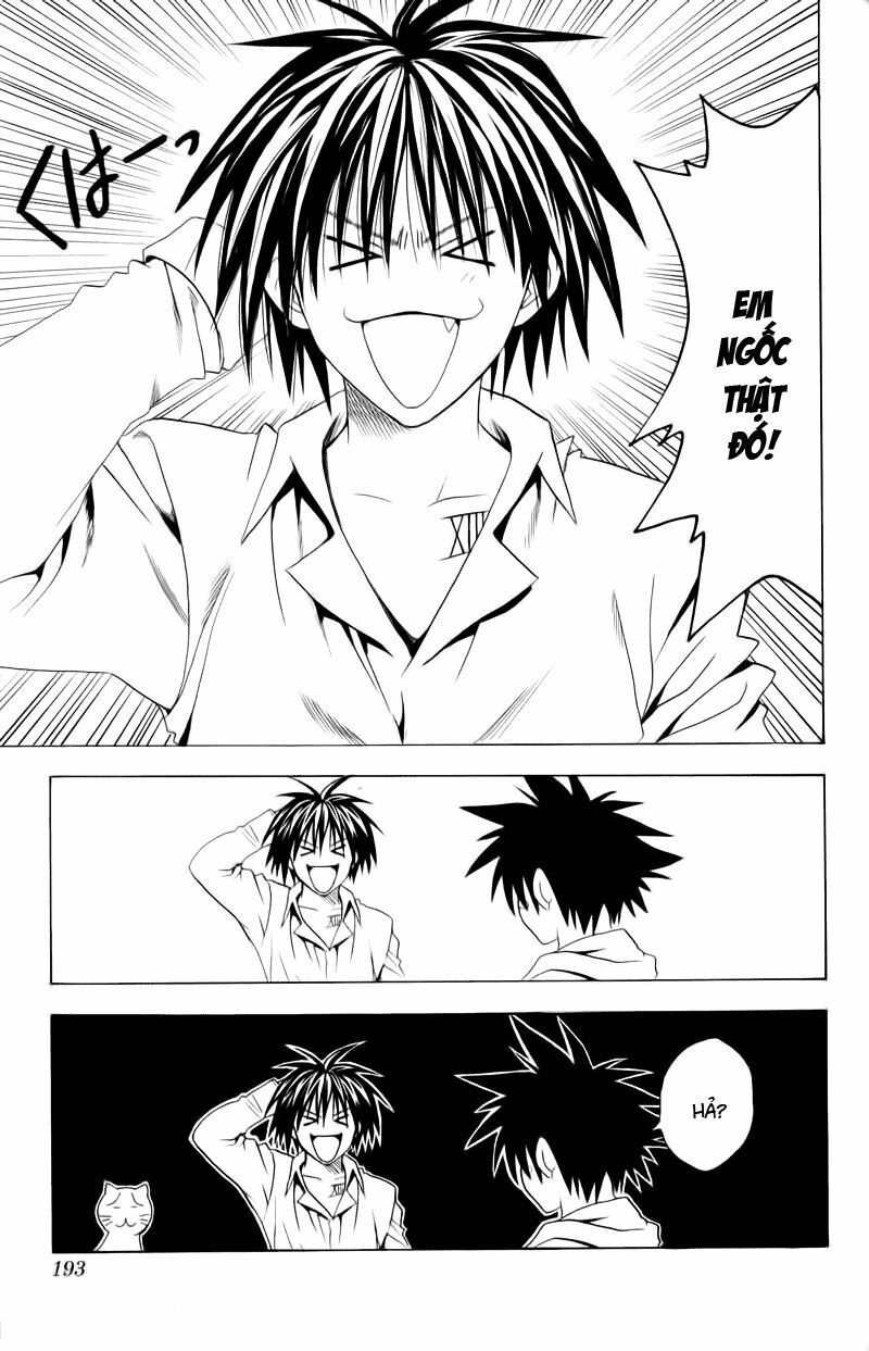 Sát Thủ Mèo Đen: Chapter 67