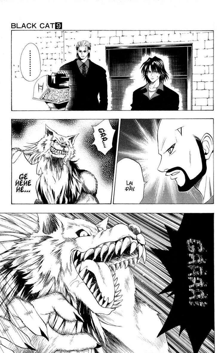 Sát Thủ Mèo Đen: Chapter 78